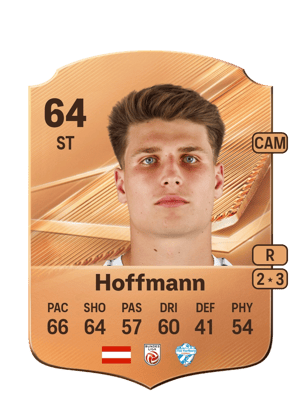Hoffmann - 64 - Rare
