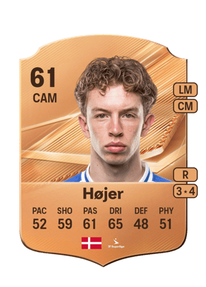 Højer - 61 - Rare
