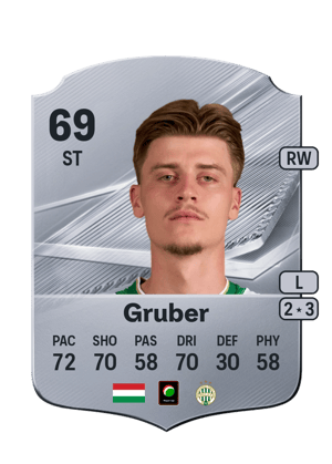 Gruber - 69 - Rare