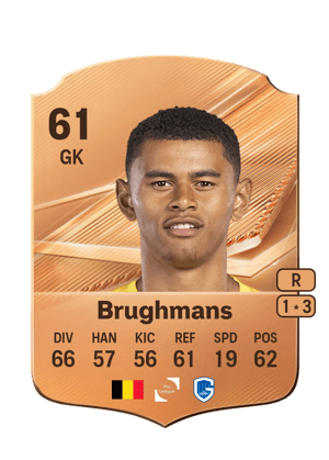Brughmans - 61 - Rare