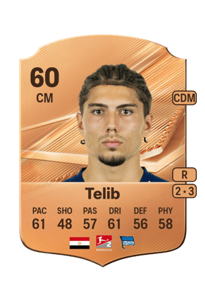 Telib - 60 - Rare