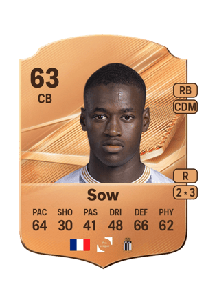 Sow - 63 - Rare
