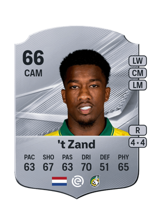 't Zand - 66 - Rare