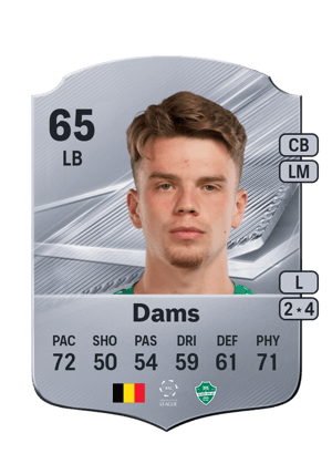 Dams - 65 - Rare