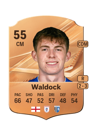Waldock - 55 - Rare