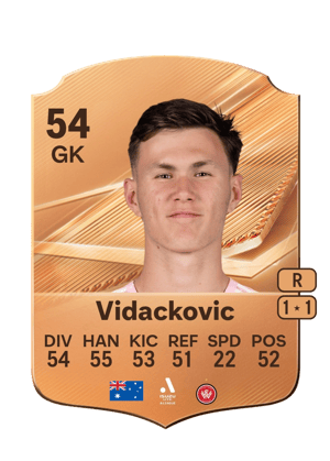 Vidackovic - 54 - Rare