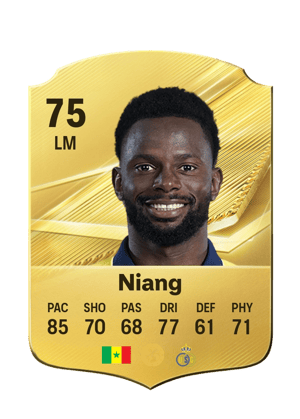 Niang - 75 - Rare
