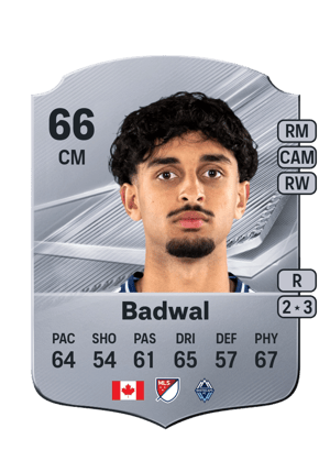 Badwal - 66 - Rare