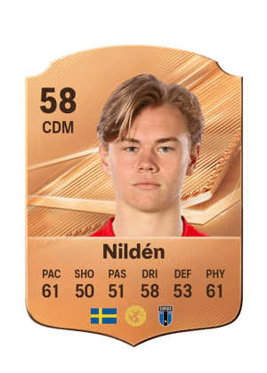 Nildén - 58 - Rare