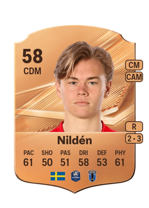 Nildén - 58 - Rare