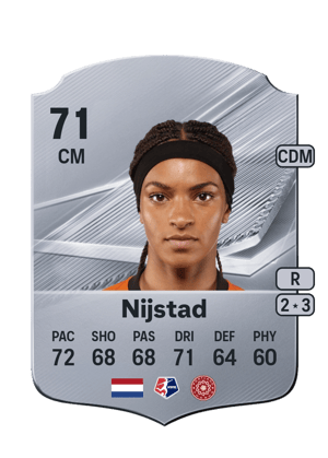Nijstad - 71 - Rare