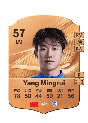 Yang Mingrui - 57 - Rare