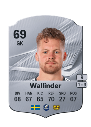 Wallinder - 69 - Rare