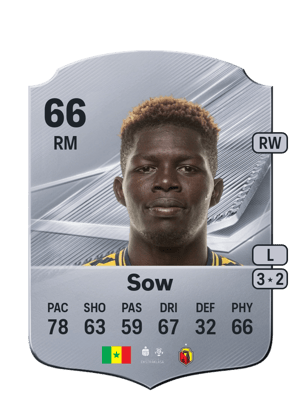 Sow - 66 - Rare