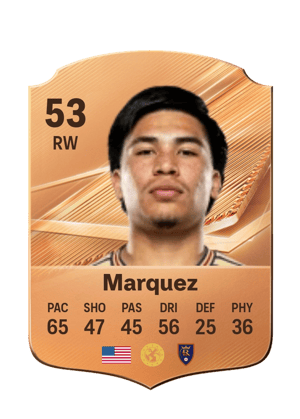 Marquez - 53 - Rare