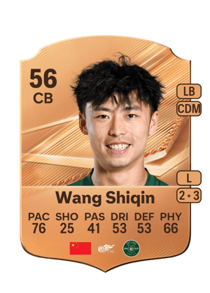 Wang Shiqin - 56 - Rare