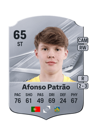Afonso Patrão - 65 - Rare