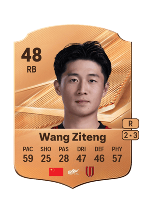 Wang Ziteng - 48 - Rare