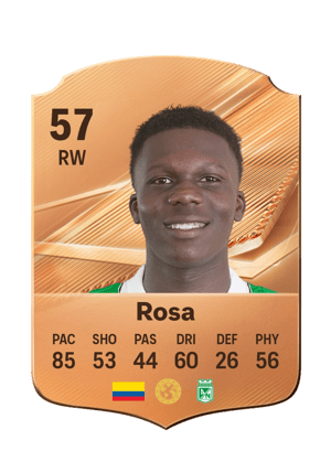 Rosa - 57 - Rare