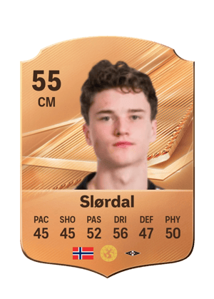 Slørdal - 55 - Rare