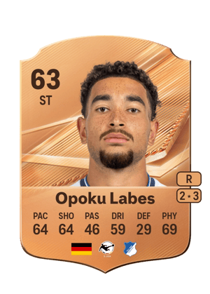 Opoku Labes - 63 - Rare