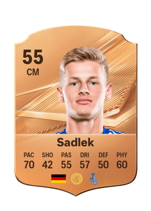 Sadlek - 55 - Rare