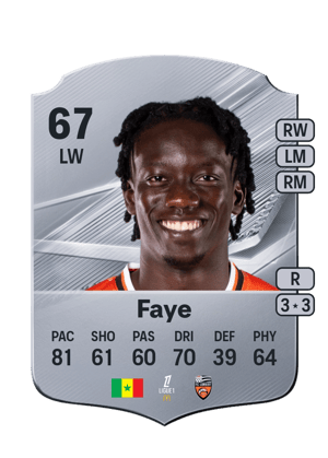 Faye - 67 - Rare