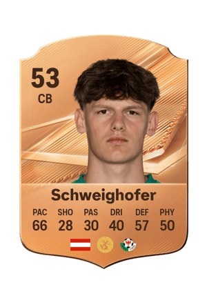 Schweighofer - 53 - Rare