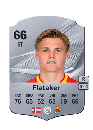 Flataker - 66 - Rare