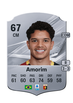 Amorim - 67 - Rare
