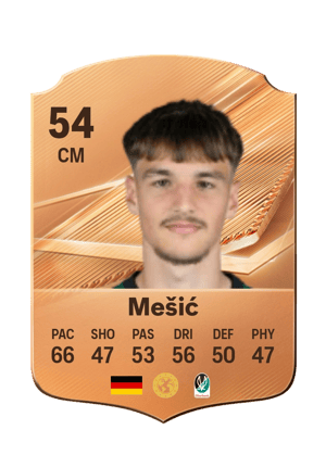 Mešić - 54 - Rare