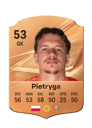 Pietryga - 53 - Rare
