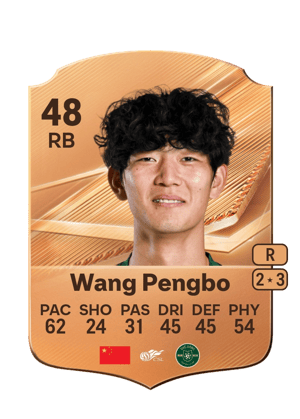 Wang Pengbo - 48 - Rare