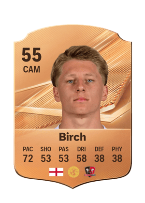 Birch - 55 - Rare