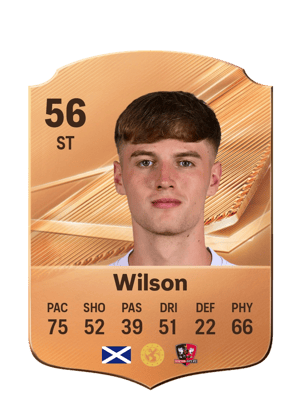 Wilson - 56 - Rare