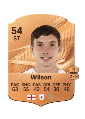 Wilson - 54 - Rare