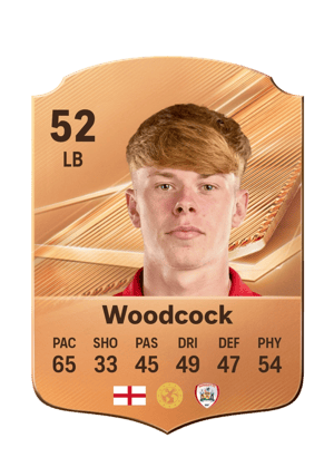Woodcock - 52 - Rare