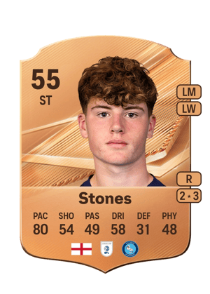 Stones - 55 - Rare