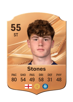 Stones - 55 - Rare