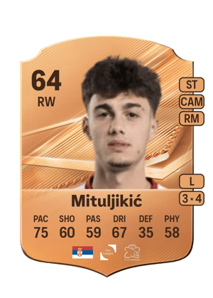 Mituljikić - 64 - Rare