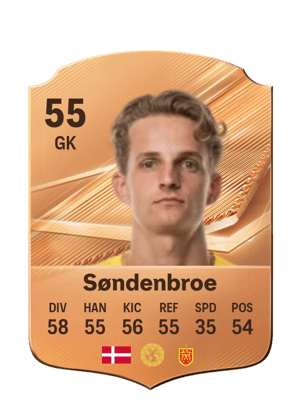 Søndenbroe - 55 - Rare