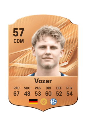 Vozar - 57 - Rare