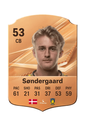 Søndergaard - 53 - Rare