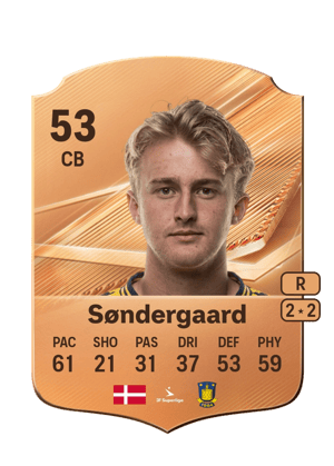 Søndergaard - 53 - Rare