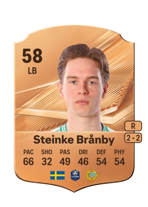 Steinke Brånby - 58 - Rare