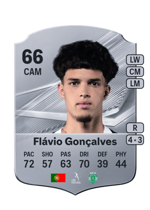 Flávio Gonçalves - 66 - Rare