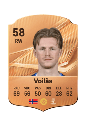 Voilås - 58 - Rare