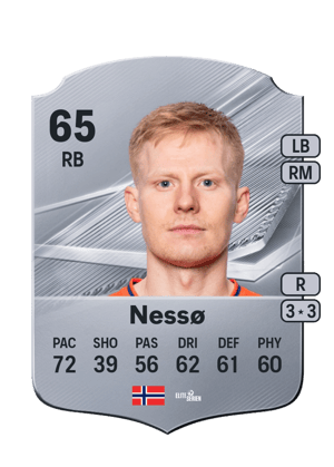 Nessø - 65 - Rare