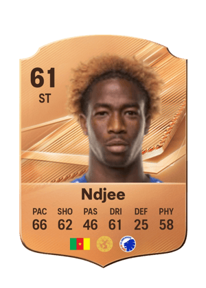Ndjee - 61 - Rare