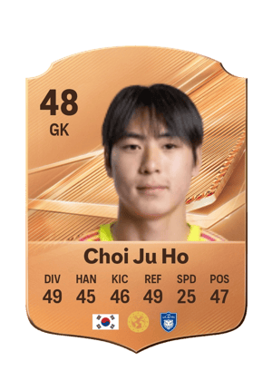 Choi Ju Ho - 48 - Rare